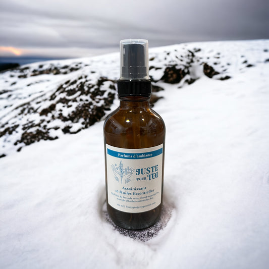Parfum D'Ambiance - Assainissant Aux 10 Huiles Essentielles