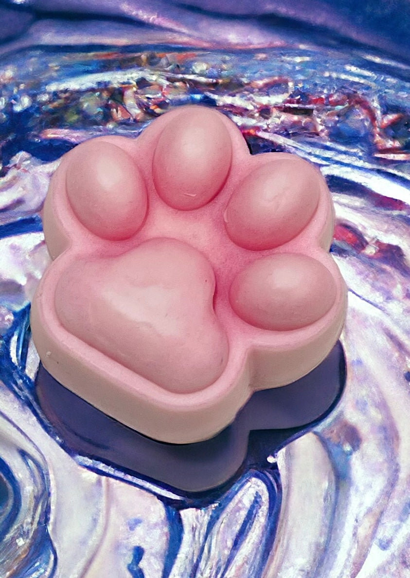 Shampoing Solide Pour Chien Petits Fruits de la Minganie