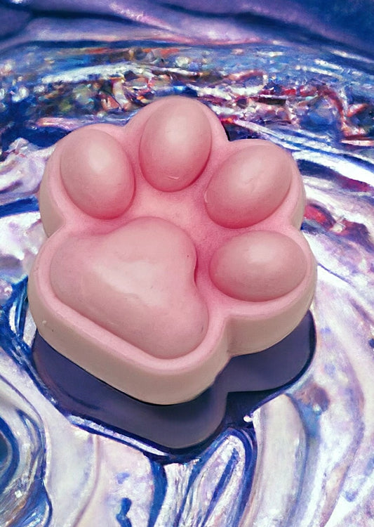 Shampoing Solide Pour Chien - Petits Fruits De La Minganie