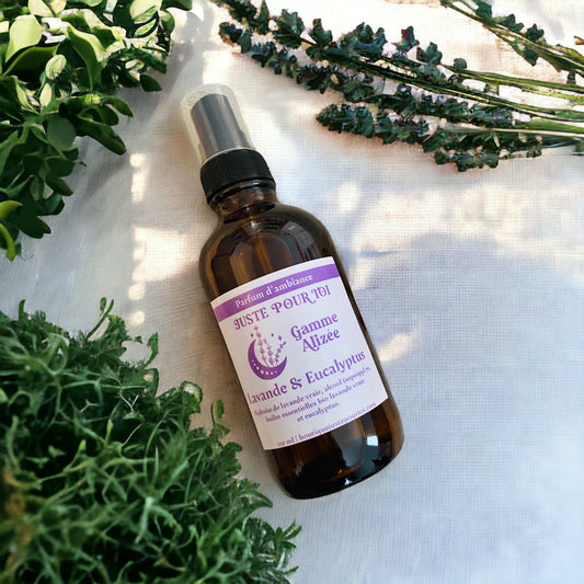 Parfum D'Ambiance - Lavande & Eucalyptus