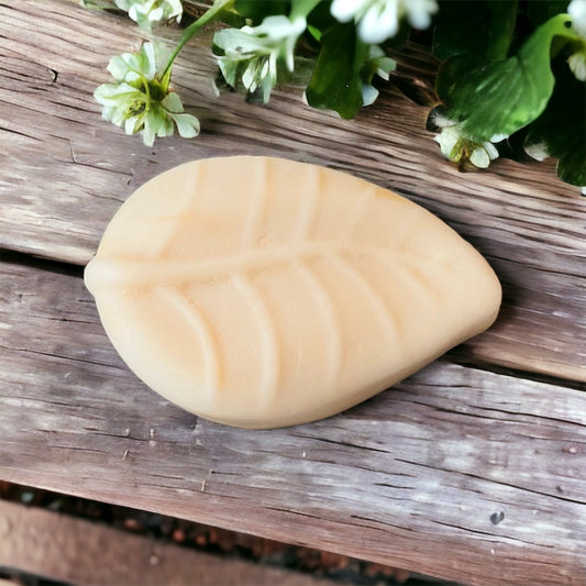 Shampoing - Le Naturel Inodore