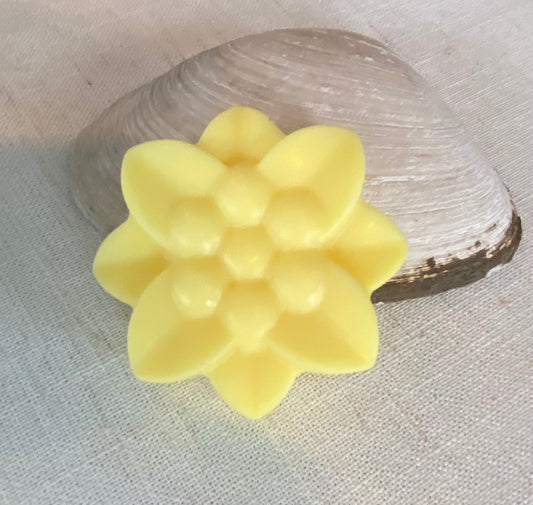 Savon - Ananas Coco